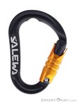 Salewa Ortles C.3 S HMS-Karabiner-Schwarz-One Size