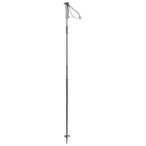 Salomon - Polar - Skistöcke Länge 100 cm grau