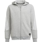 ADIDAS Kinder Future Icons 3-Streifen Kapuzenjacke, Größe 128 in Silber