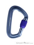 Black Diamond LiteForge Screwgate Karabiner-Grau-One Size