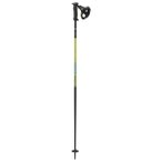Salomon - Polar Prime Ergo S3 - Skistöcke Länge 110 cm gradient