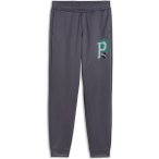 PUMA Kinder Hose ACTIVE SPORTS Poly Pants B, Größe 140 in Grau