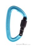 Wild Country Wildscrew Screwgate Karabiner-Türkis-One Size