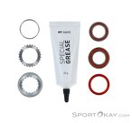 DT Swiss 180 Ratchet EXP 54 Tooth Wartungskit-Silber-One Size
