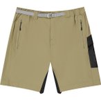 Picture Herren Shooner Stretch Shorts (Größe L , gruen)