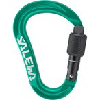 Salewa Ortles HMS S Karabiner  Karabiner gruen Größe One Size Alpinklettern | 