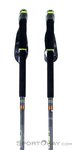 Leki Sherpa FX.One Carbon Trekkingstöcke-Grün-135