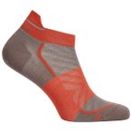 Icebreaker - Women's Merino Run+ Ultralight Micro - Laufsocken 35-37 braun/rot