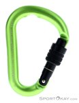Salewa Screw G2 HMS-Karabiner-Oliv-Dunkelgrün-S