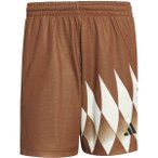 ADIDAS Herren Shorts HOUSE OF TIRO X COMMON GOAL PIKEE, Größe S in Braun