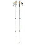 Black Diamond - Wanderstöcke - Trail Vista Shock Trek Deep Woods  - Khaki