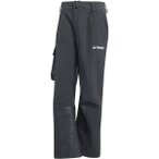 ADIDAS Herren Hose Terrex 3L GORE-TEX Post-Consumer Nylon, Größe XL in Grau