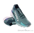 adidas Terrex Agravic GTX Herren Traillaufschuhe Gore-Tex-Blau-8