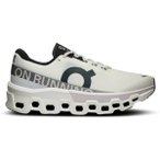 ON Herren Laufschuhe Cloudmonster 2, Größe 48 in Silber