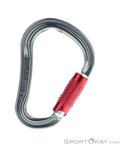 DMM Shadow Kwiklock HMS-Karabiner-Rot-One Size