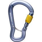 Black Diamond GridLock Screwgate - Schraubkarabiner uni