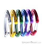 Wild Country Helium 3.0 Rack 6er Schnappkarabiner-Set-Mehrfarbig-One Size