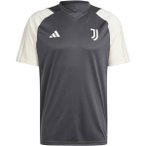 ADIDAS Herren Trikot Juventus Turin Tiro 23, Größe L in Grau