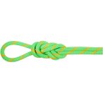 Mammut 8.0 Alpine Eco Dry Kletterseil (Größe 30m, gruen)