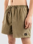 Quiksilver Everyday Surfwash Volley 15 Boardshorts aloe Gr. M