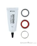 DT Swiss Ratchet EXP SL 54 Tooth Wartungskit-Silber-One Size