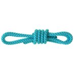 Salewa - Ortles Master Cord Precut - Reepschnur Gr 30 cm - 6 mm türkis