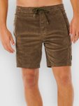 Rip Curl Classic Surf Cord Walk Shorts rock Gr. 34