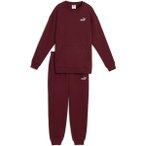 PUMA Damen Anzug Sweat Suit Relaxed FL cl, Größe L in Rot