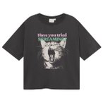 DEDICATED - Women's T-Shirt Vadstena Screaming Cat - T-Shirt Gr XS grau