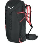 SALEWA Rucksack MTN TRAINER 2 28, Größe ONE SIZE in Grau