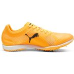 PUMA Herren Leichtathletikschuhe evoSPEED Haraka 8, Größe 42 in Orange