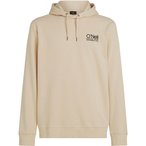 O'NEILL Original Cali Hoodie Herren