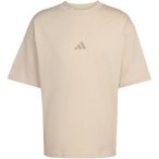 ADIDAS Herren Shirt Future Icons Small Logo, Größe XL in Beige