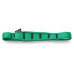 Salewa - Ortles QD Sling 170 - Express-Schlinge Gr 170 mm türkis
