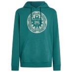 O'Neill - Musthave Graphic Hoodie - Hoodie Gr S türkis