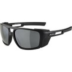 ALPINA Herren Brille ALPINA SKYWALSH, Größe ONE SIZE in Grau