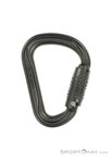 DMM Phantom HMS HMS-Karabiner-Grau-One Size