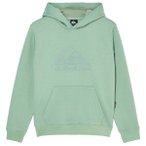 Quiksilver - Kid's Comp Logo Hoodie - Hoodie Gr 16 grün