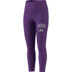 adidas Kinder Collegiate Typography Tights (Größe 164, lila)