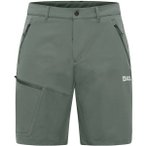 JACK WOLFSKIN Herren Shorts PICO TRAIL SHORTS M, Größe 48 in Grau