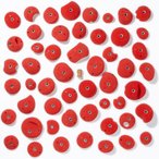 Moon Climbing School Holds PU Full Set Klettergriffe, Set C