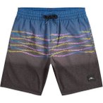 O'NEILL Kinder Badeshorts FIRST SWIMSHORTS, Größe 176 in Grau