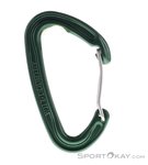Wild Country Wildwire Schnappkarabiner-Grün-One Size