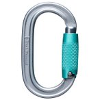 Black Diamond - Oval Triple Lock Carabiner - Verschlusskarabiner grau