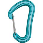 Edelrid Nineteen G Karabiner  Karabiner tuerkis Größe One Size Alpinklettern
