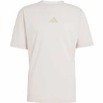 adidas Terrex Xploric Trail Herren Laufshirt ( Beige XXL)