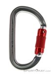 Petzl Am'D Twist-Lock Karabiner-Grau-One Size