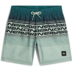 O'NEILL Kinder Badeshorts LOGO STRIPE SWIMSHORTS, Größe 140 in Silber