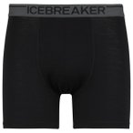 Icebreaker - Anatomica Boxers - Merinounterwäsche Gr S schwarz