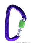 Wild Country Session Screw Gate Karabiner-Lila-One Size